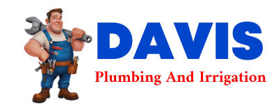 Trusted plumber in CROCKETVILLE